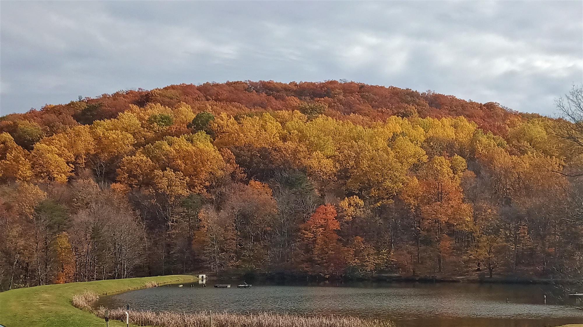 Mint Springs 11-14-21